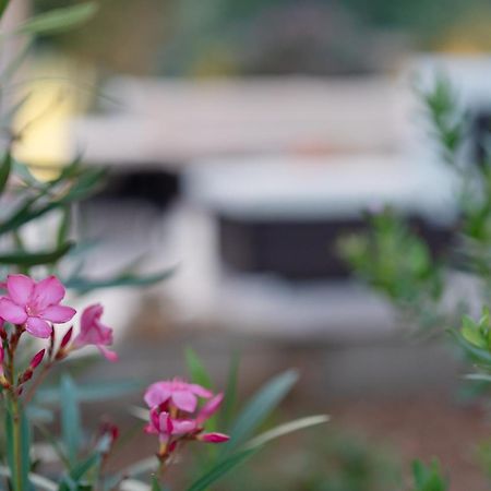 Villa Slatina Near Zrce Beach Novalja Εξωτερικό φωτογραφία